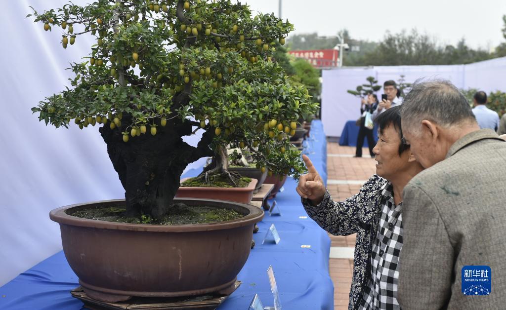36棋牌游戏