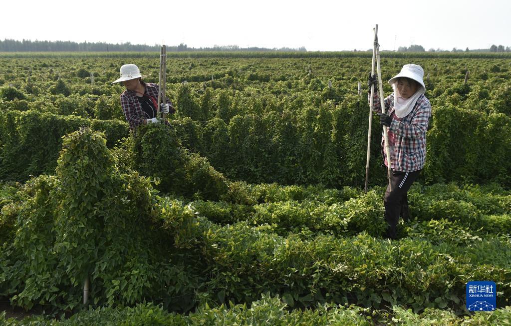 奥门新浦京游戏怎么样